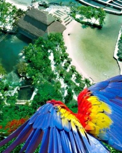 Aerial view of Xcaret Park, showcasing lush landscapes, winding rivers, and tropical scenery from above.