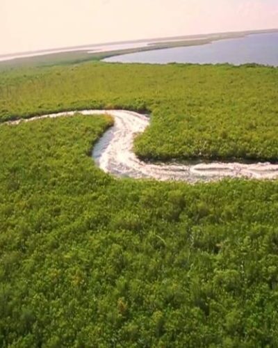 Aerial view of boats navigating through lush jungle waterways during a thrilling jungle tour experience in Cancun.