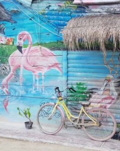 Holbox_Restaurant-qegbhunsa6zkbxlhd4z1ytm6xk7qu07evz0es5f9mw