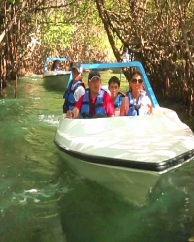 Speedboat navigating through tropical waterways during a thrilling jungle tour, surrounded by dense greenery.