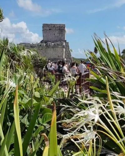 Tulum_Cavern_Snorkeling_CVE-qegbi26hsv9uwtak5882irpvon6ojl19l08amd4494