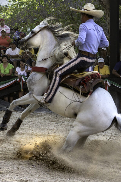 espectaculo-ecuestre-01