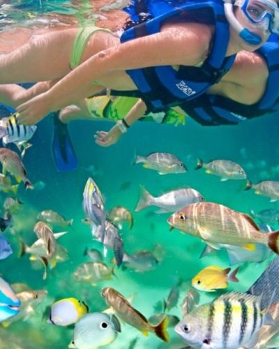 Person snorkeling underwater surrounded by vibrant tropical fish in crystal-clear water, experiencing marine life in Cancun.