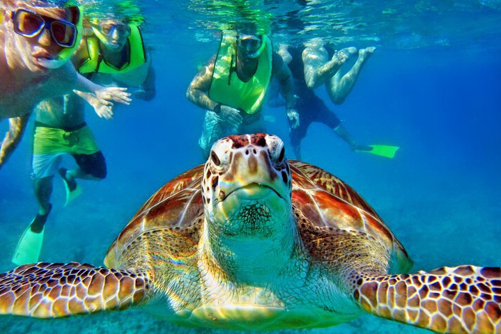 Snorkeling on a Private Tour