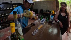 Experiencing the Living Maya World: Chichen Itza, Cenote & Valladolid Cultural Journey 5 Tequila Tasting Experience