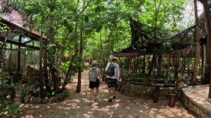 Experiencing the Living Maya World: Chichen Itza, Cenote & Valladolid Cultural Journey 6 walking path to Cenote Yun Chen