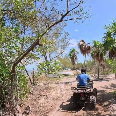 ATV s Mangrove Experience 3