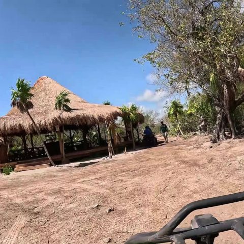 ATV s Mangrove Experience 4