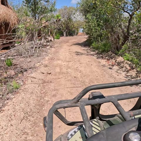 ATV s Mangrove Experience 5
