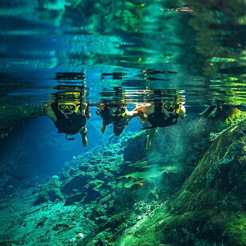 Cenote-Snorkel