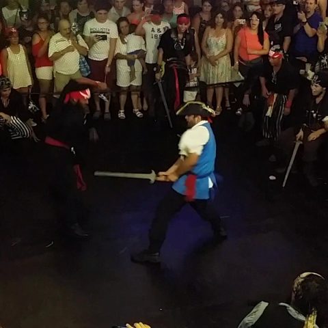 Hook Pirate Fight