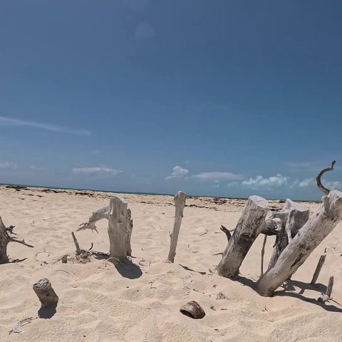 Isla Blanca Visit