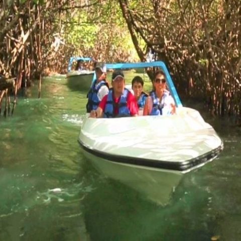 Speedboat navigating through tropical waterways during a thrilling jungle tour, surrounded by dense greenery.