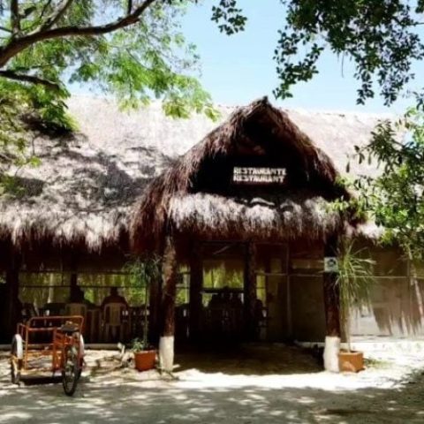 Luch_Mayan_Adventure-e1636467304917-qegben1mxklanw9f48zxy4shv61lj8gfg2ror46ow8