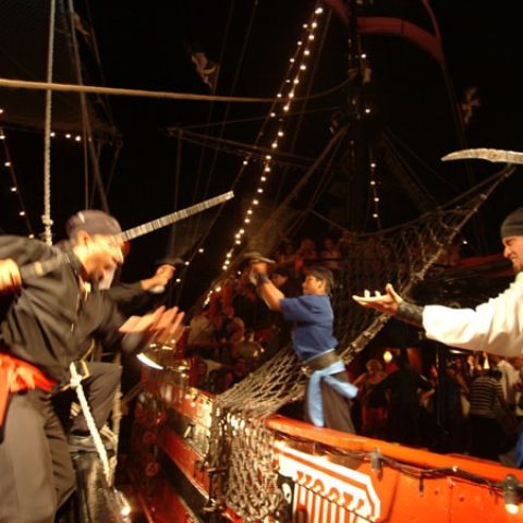 Pirate Sword Fight