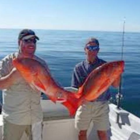 Playa_del_Carmen_Fishing-qegbhfmd8uez667bsyh0uxetfe9veujphwkn3q1keg