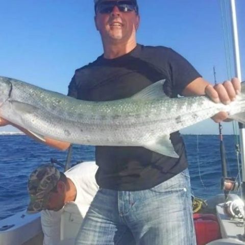 Puerto_Morelos_Fishing_CVE-1-qegbhfmd8uez667bsyh0uxetfe9veujphwkn3q1keg