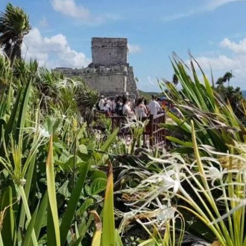 Tulum_Cavern_Snorkeling_CVE-qegbi26hsv9uwtak5882irpvon6ojl19l08amd4494