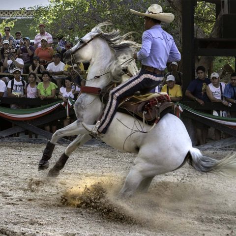 espectaculo-ecuestre-01