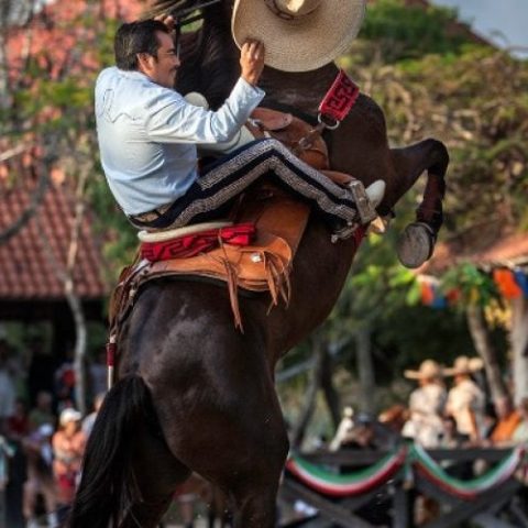 Equestrian show at Xcaret Park featuring skilled riders performing stunts on horseback in traditional Mexican attire.