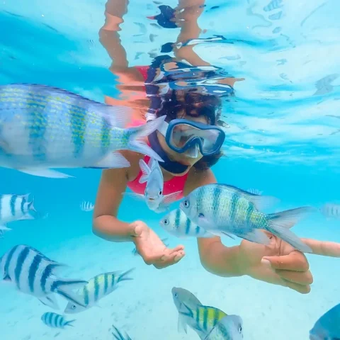 KUZÁ Adventure El Cielo Cozumel snorkeling experience