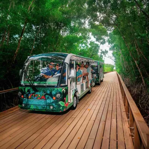 kuza-full-experience-cozumel-park-tram