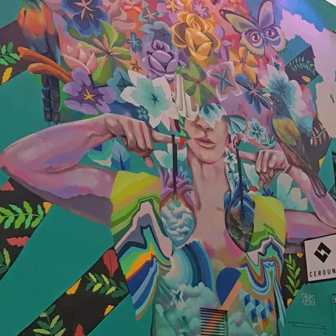 Playa del Carmen Private Airport Transfer 2 playa del carmen mural