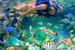 snorkel-3