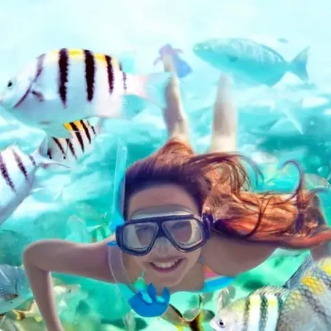 snorkel-Xelha-1-qf6c92tb41jj9qq8eos37dtl6wq2n42seg2gcpnrew
