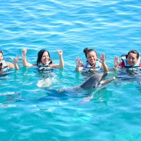 swim-with-dolphins-cancun-group-activity-desktop